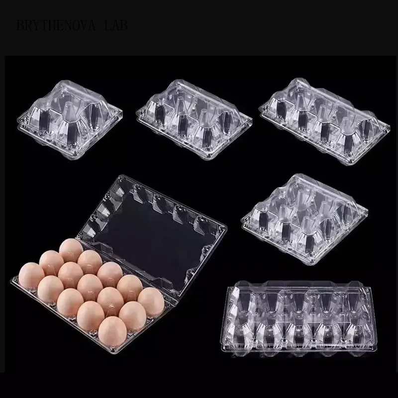 Event Party Box - 20 Buah Kotak Telur Plastik Sekali
