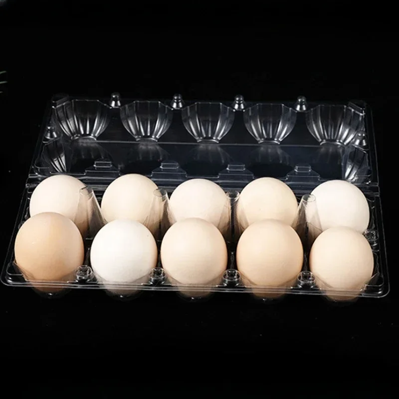 20 Buah Kotak Telur Plastik Se - Event Party Box ulasan dan harga
